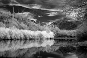 River Contemplation