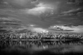 Storm Light on Willow Springs
