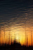 Harbor Sunset