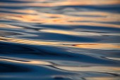 Sunset Water I