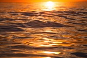 Sunset Water II