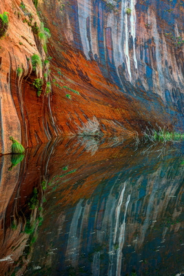 Utah Coyote Gulch Black Lagoon Detail