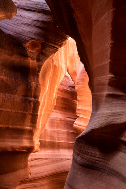 Viapagi Collection by Image Craft Search results